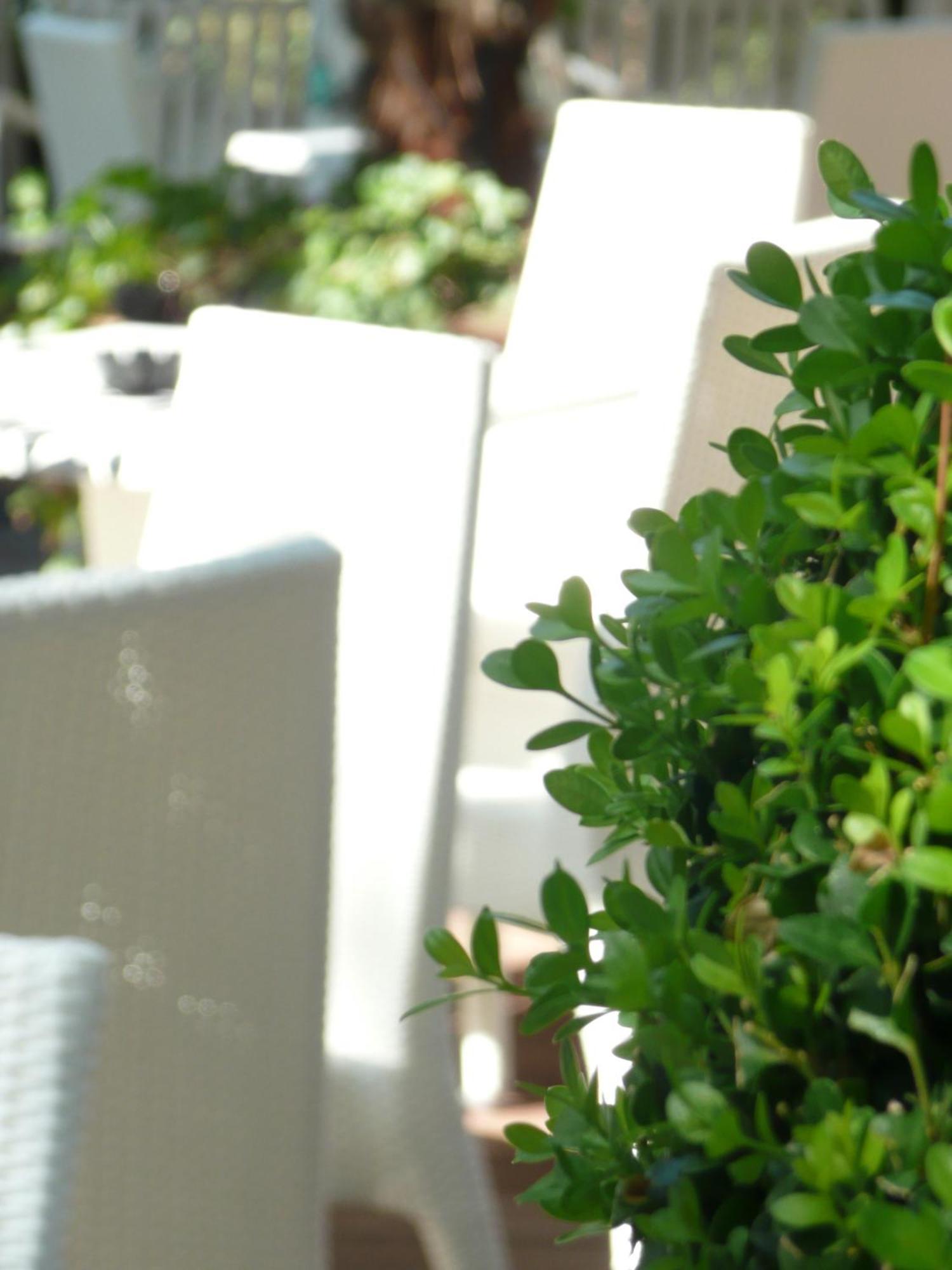 Hotel Flora Milano Marittima Exterior photo